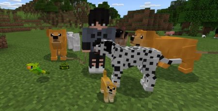 Domestic Pets addon