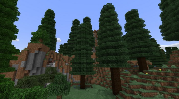 Coniferous Forest biome