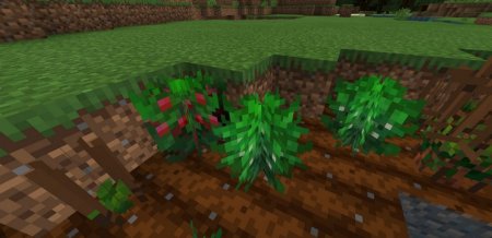 More Crops addon