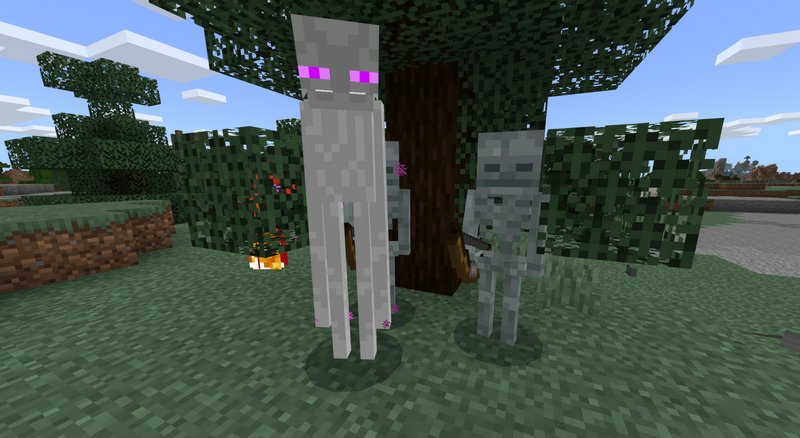 White Enderman and Frozen Skeleton