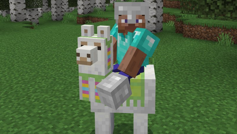 Riding a Llama