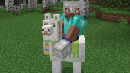 How to ride Llamas and Goats