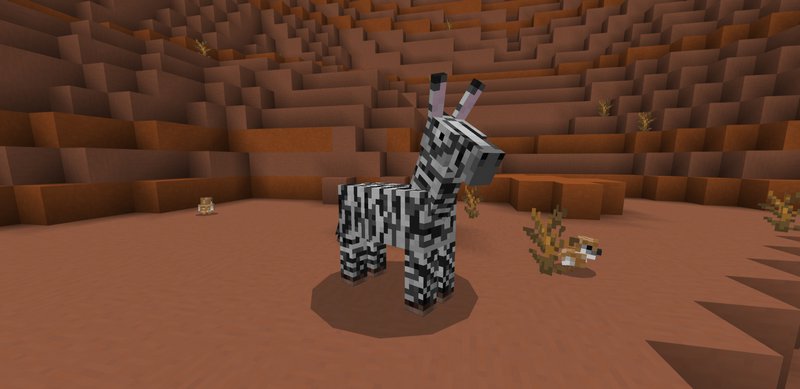 Zebra