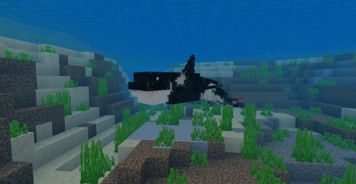 Orca & Whale addon