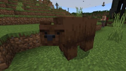 Honey and Bears addon