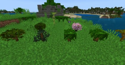 Better Saplings & Mushrooms addon