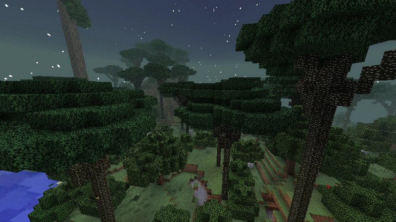 Twilight Forest