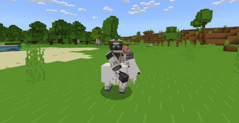 Riding a Goat