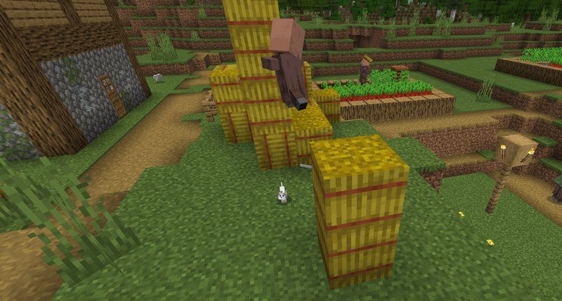 Villager jumping