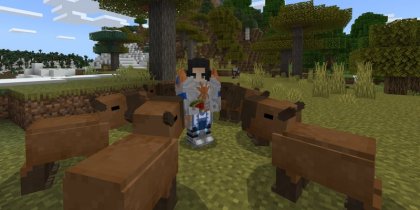 Capybaras addon