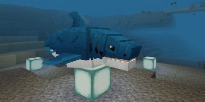 Great white shark addon