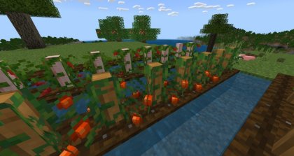 Rustic Agriculture addon