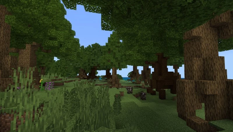 Another forest biome