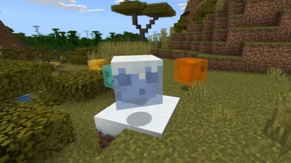 Slimes Expansion addon