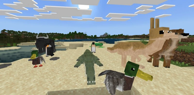Ducks, Kangaroo, Buffalo