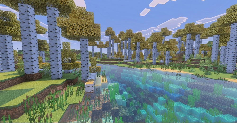 Birch trees in Biomes and Beyond