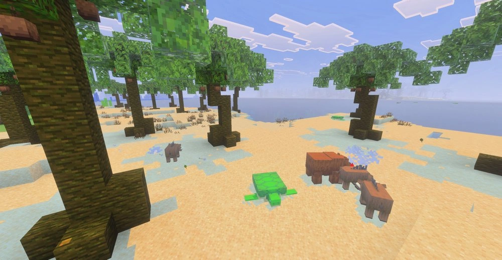 Tropical biome