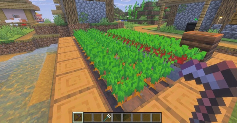Before hitting crops using a hoe