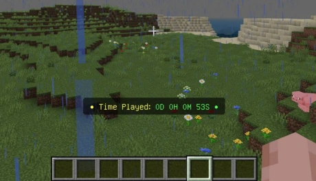 Time Played addon