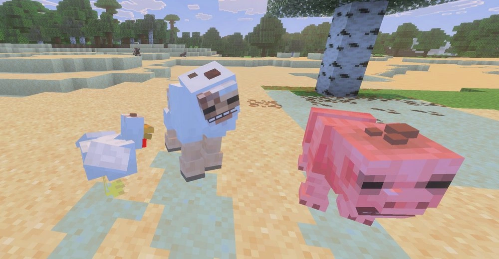 Fungi infected animals
