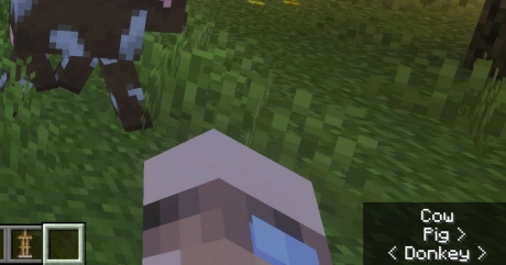 Nearby Mobs addon