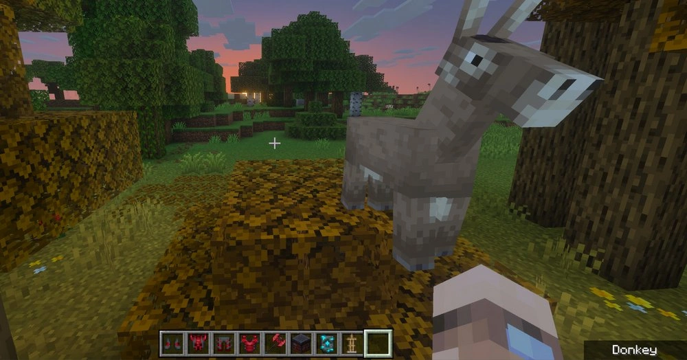 Nearby donkey