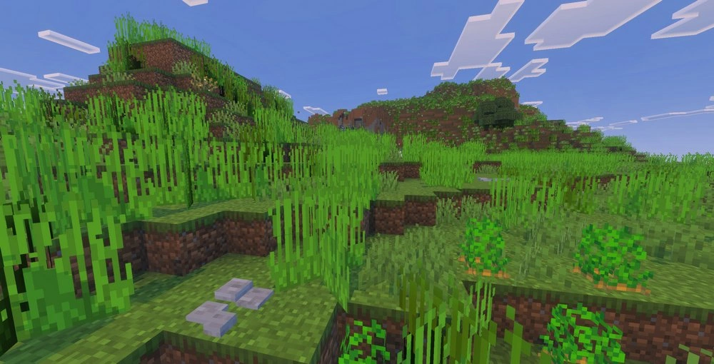 Lush grass