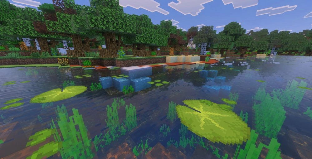 Water Lilies on the water