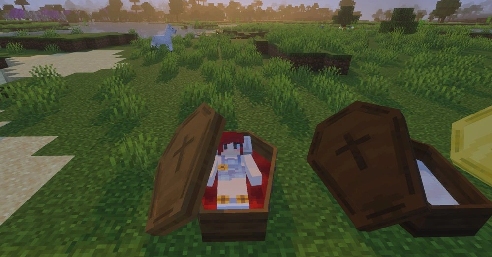 Sleeping in the coffin
