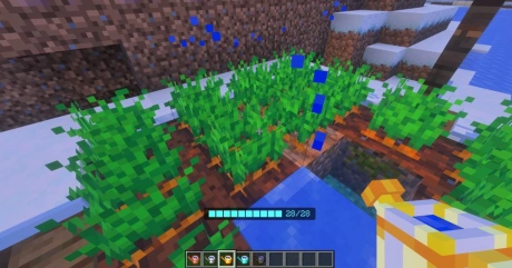 Watering Can